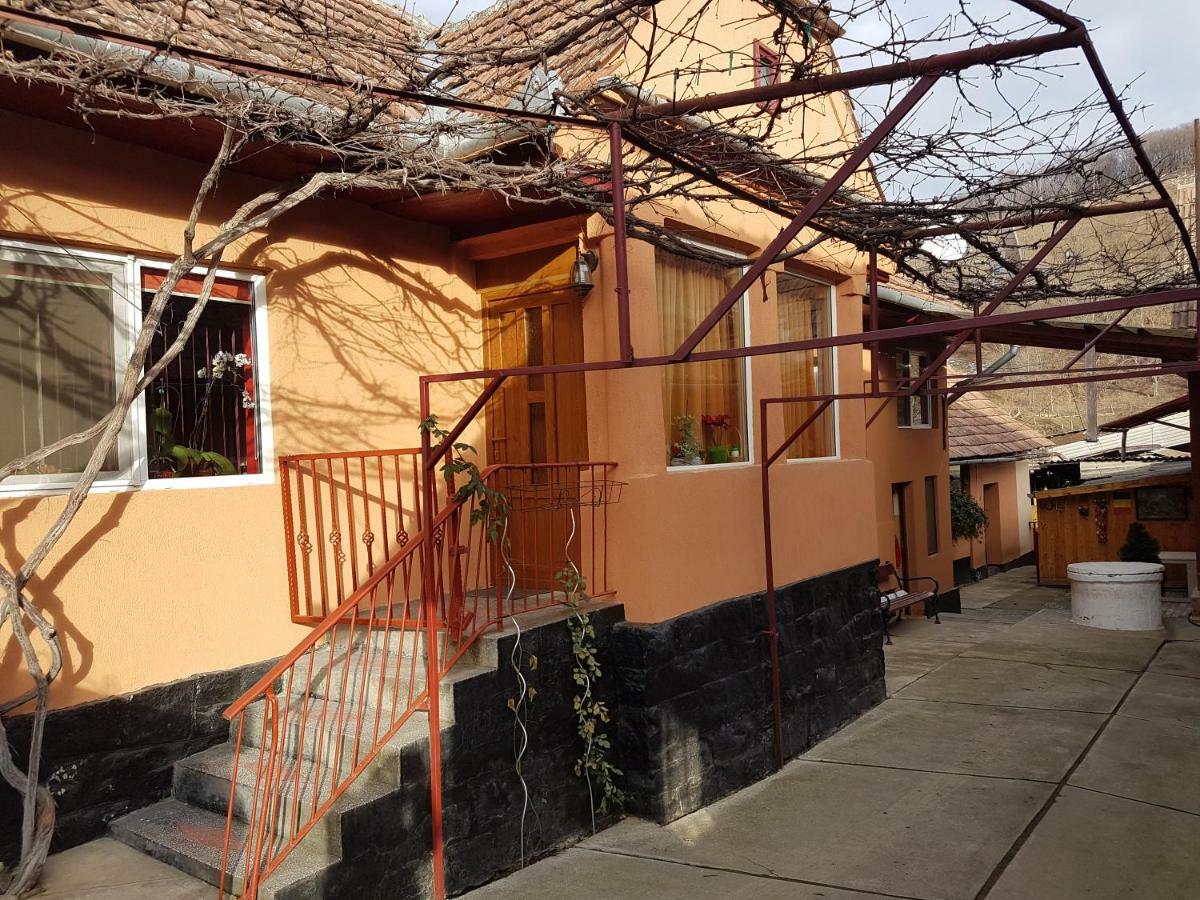 Casa De Oaspeti Morii 22 Malancrav Exteriör bild